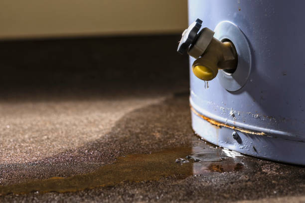 Professional Water damage restoration in Taylor, MI