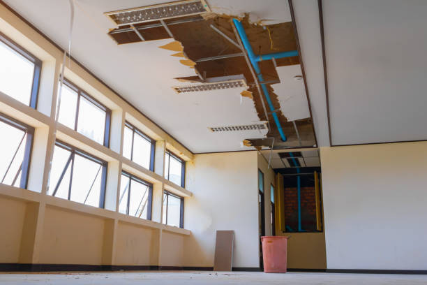 Best Water damage restoration near me  in Taylor, MI