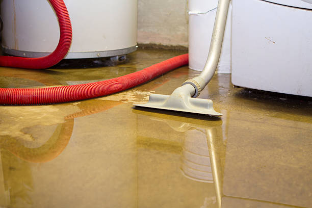 Professional Water damage restoration in Taylor, MI