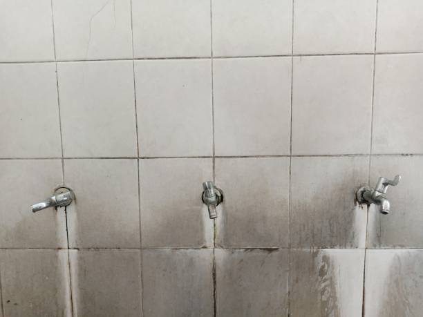 Best Residential water damage restoration  in Taylor, MI