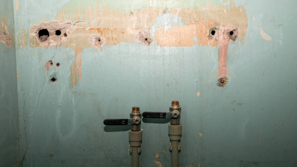 Carpet water damage restoration in Taylor, MI