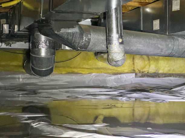 Best Water damage contractors near me  in Taylor, MI