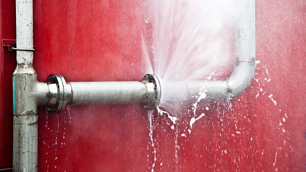 Best Water damage restoration process  in Taylor, MI